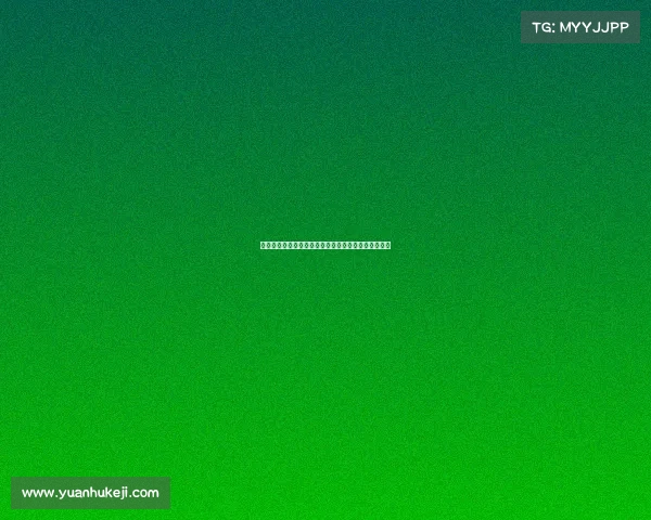 英超赛季触球数排行分析：球员表现与战术影响全解析