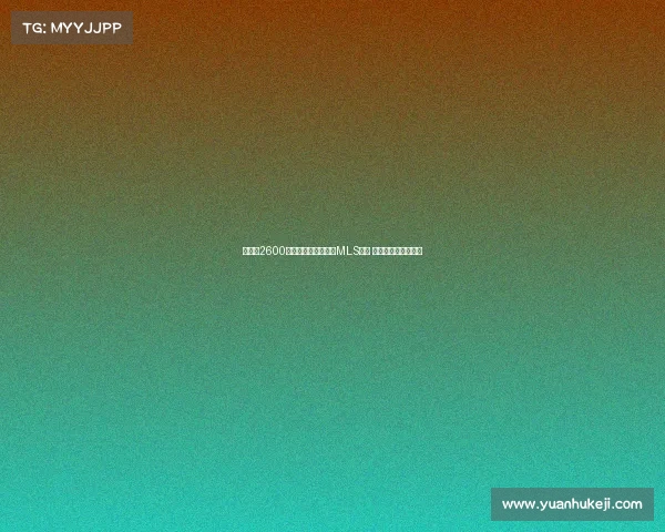 孙兴慜2600万美元转会洛杉矶创MLS纪录 或最快周三正式官宣