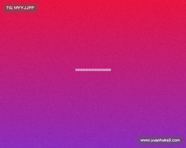 阿莱格里继续与塔雷沟通转会市场及迈尼昂续约事宜