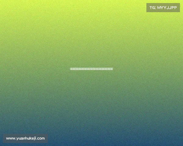 全面解析德甲直播平台选择与使用技巧，畅享顶级赛事直播体验